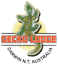 Gecko Lodge